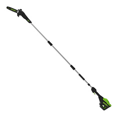 Greenworks GD60PST25 60V (25 см)